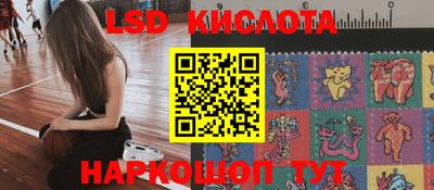 стафф Заводоуковск