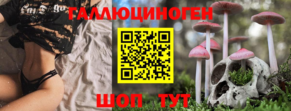 Псилоцибиновые грибы мухоморы  Вход с VPN  купить наркоту  Ишимбай 